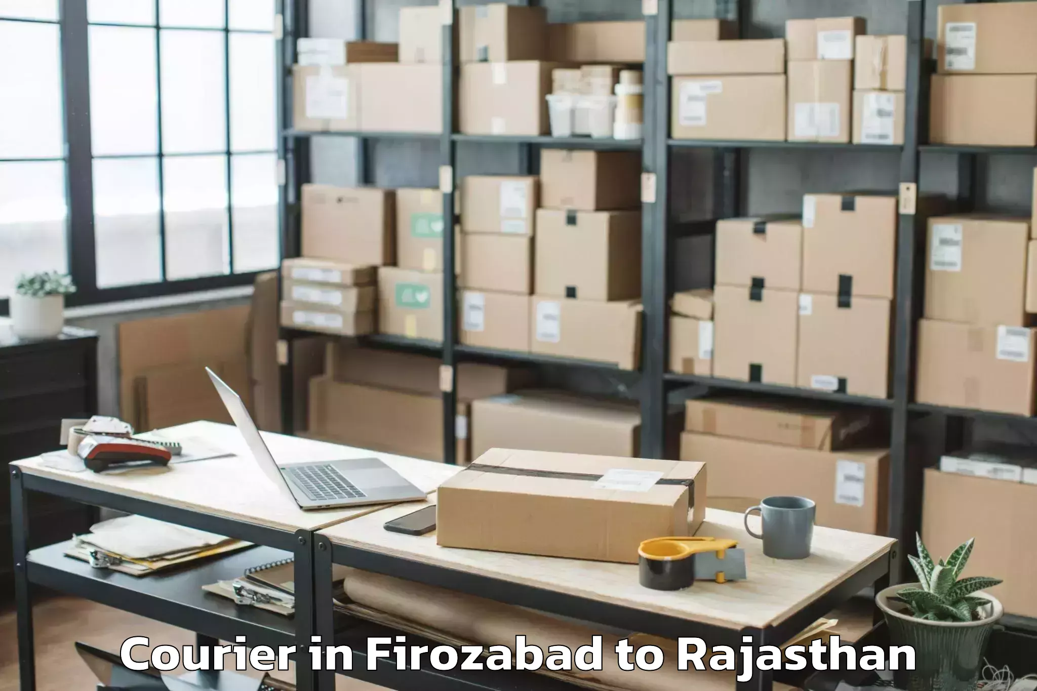 Easy Firozabad to Bari Sadri Courier Booking